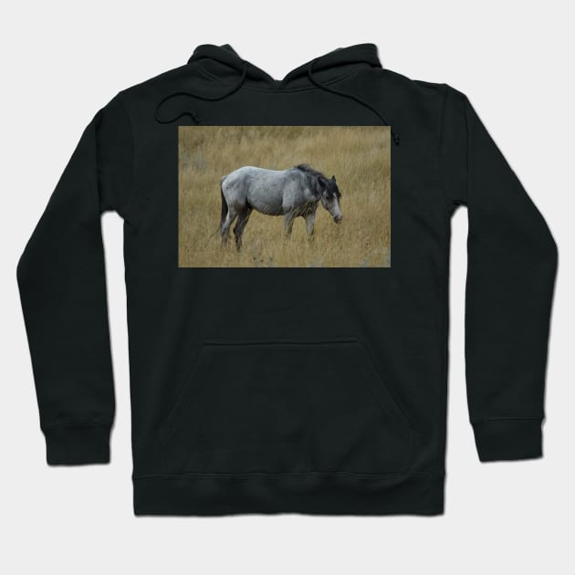 Grey Wild Horse Hoodie by MarieDarcy